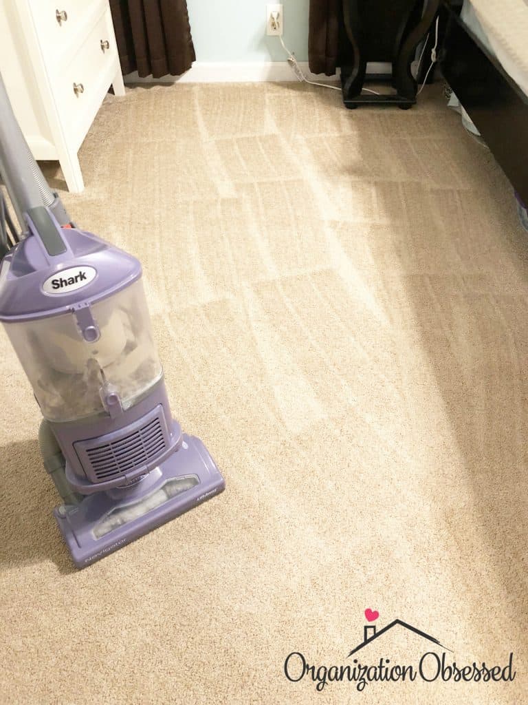The Vacuum That Saved My Carpet