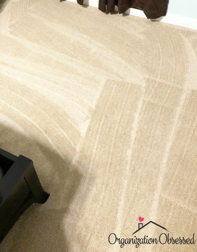 The Vacuum That Saved My Carpet