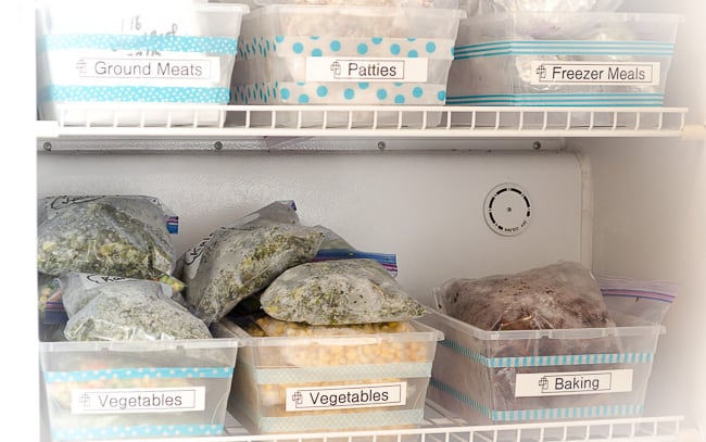 Deep Freezer Organization w/ Dollar Tree Bins 