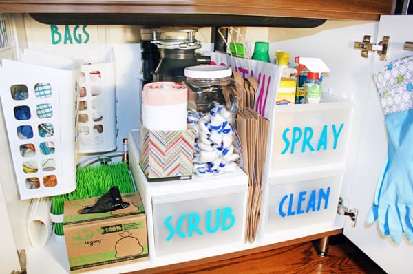 Under The Kitchen Sink Organization