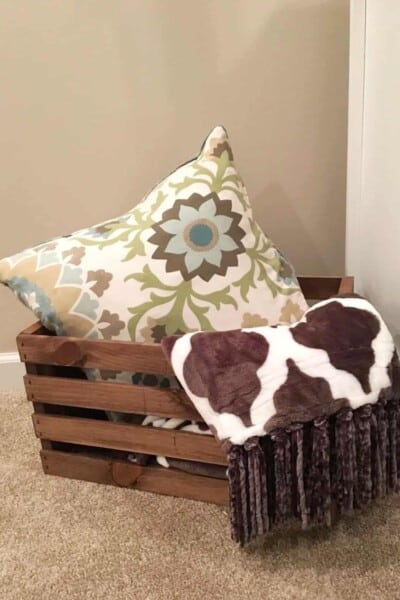 Living Room Storage Ideas